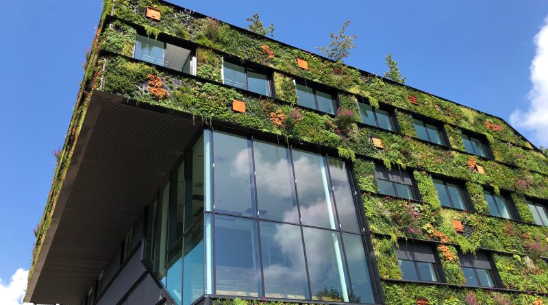 Image of sustainable home building