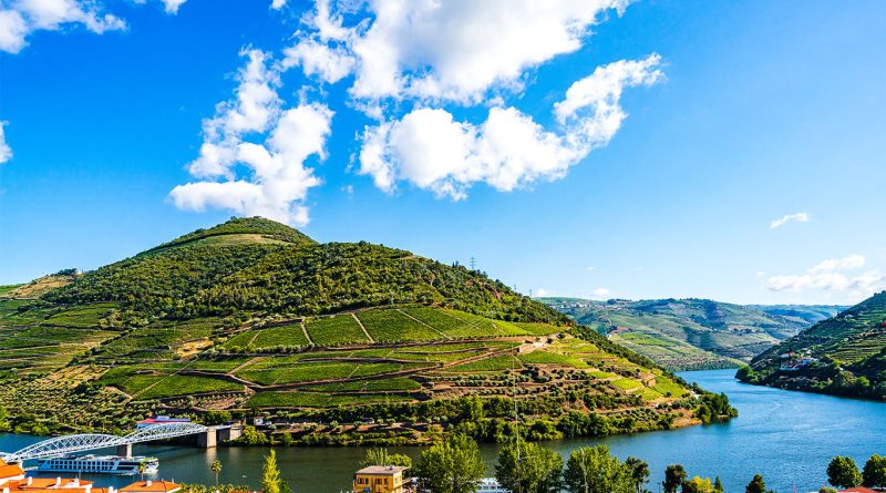 Landscape image of Douro Valley to support natural home article