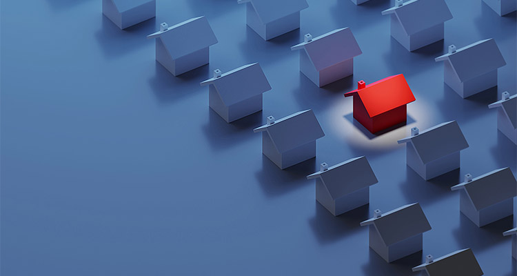 a 3D rendering of a red house standing out among many identical blue houses